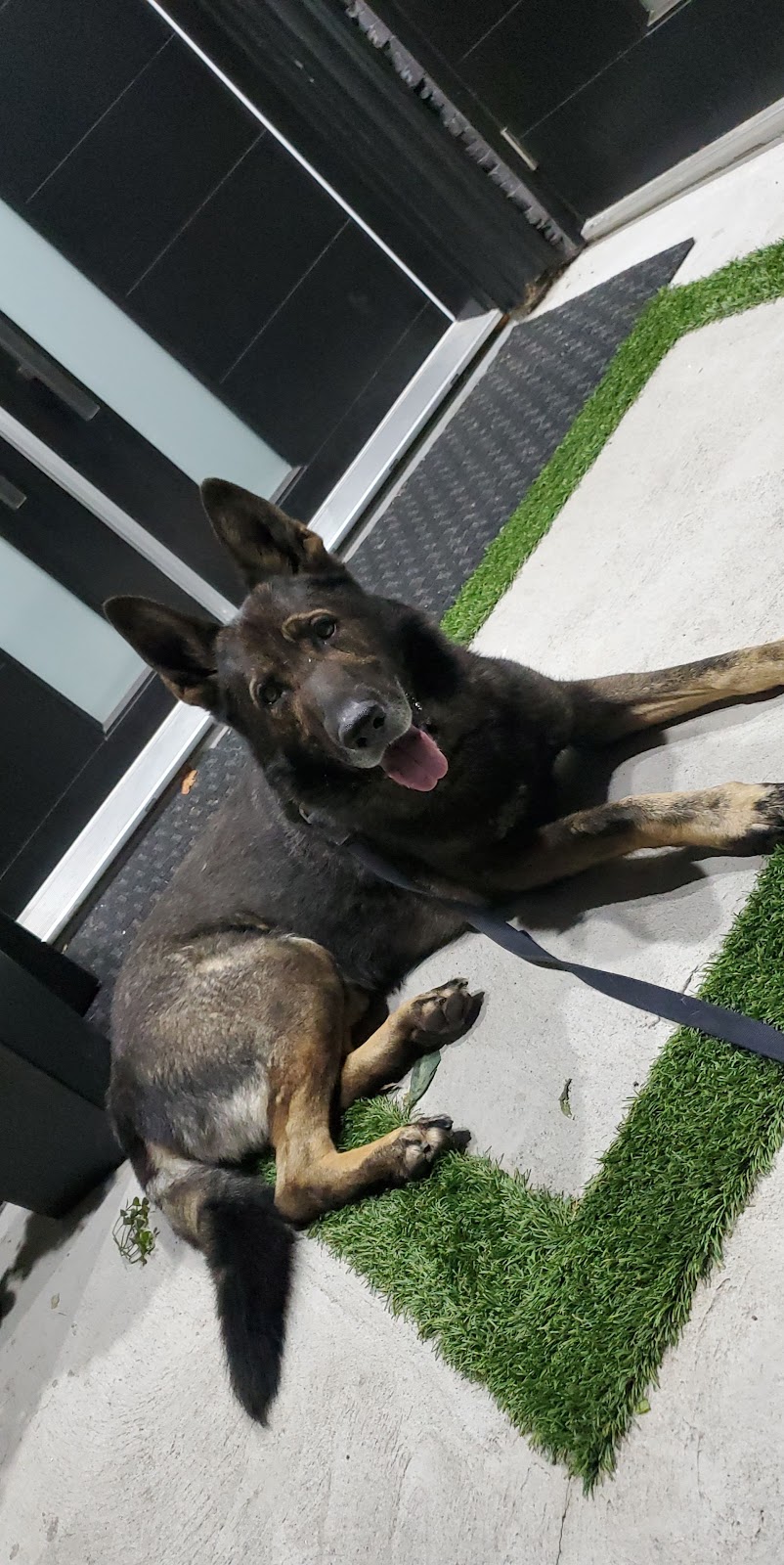 Argos Pet Ranch Boarding & Daycare | 18030 32 Ave, Surrey, BC V3S 0L5, Canada | Phone: (604) 807-3023