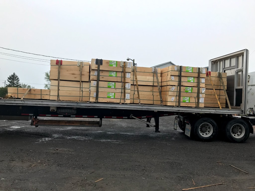 DAMP-R SERVICES LTD | 5231 King St, Caledon East, ON L7C 0T9, Canada | Phone: (647) 389-0005