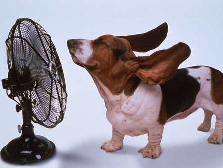 KES Heating and Air | 17 Sunny Acres Rd, Kingston, ON K7M 3N3, Canada | Phone: (613) 384-9292