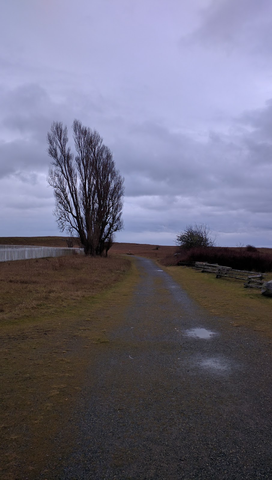 Picketts Monument | Friday Harbor, WA 98250, USA
