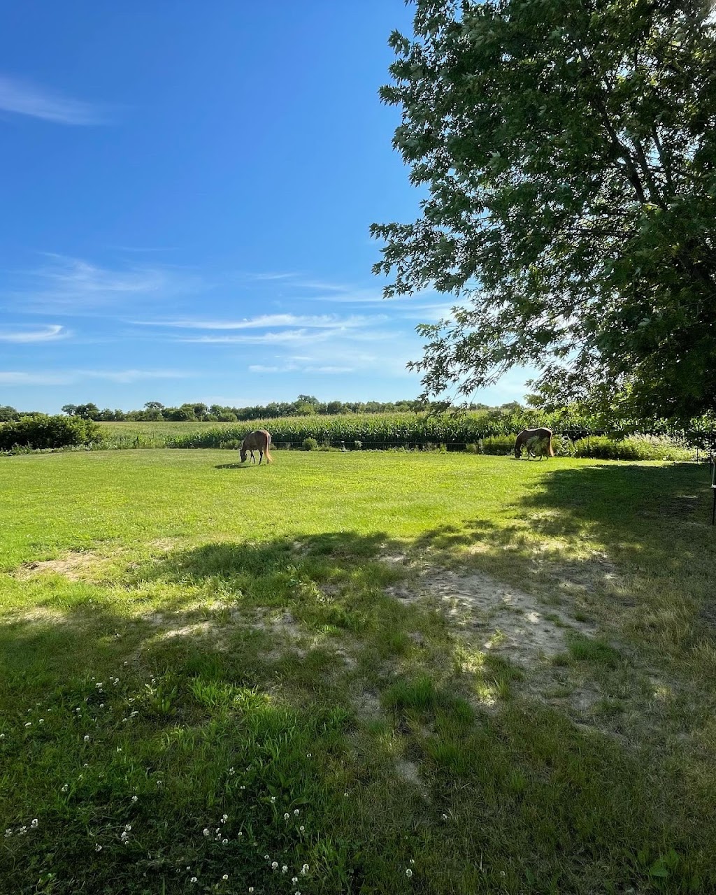 Equestrian Center & Services Équestres Lhéritage | 2740 Rang du Haut de la Rivière, Sainte-Élisabeth, QC J0K 2J0, Canada | Phone: (450) 365-7361