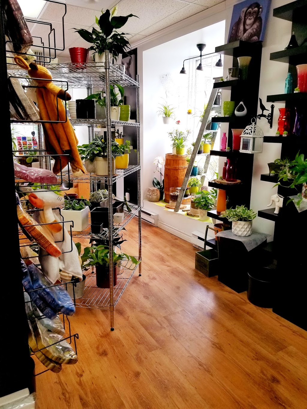 Fleuriste Beauharnois | 124 Rue Saint Laurent, Beauharnois, QC J6N 1V9, Canada | Phone: (450) 395-0876