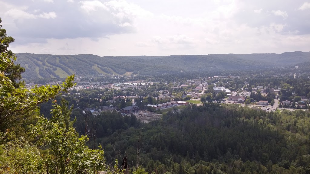 DEC ENVIRO | 149-B Rue Principale, Saint-Sauveur, QC J0R 1R6, Canada | Phone: (450) 227-6177