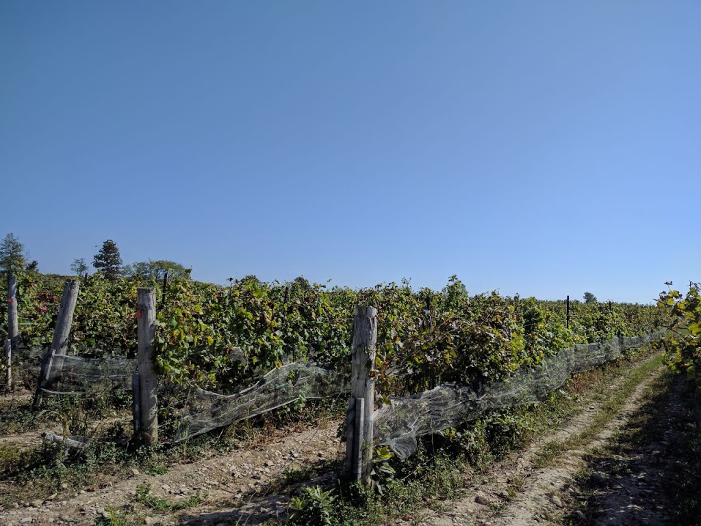 Norman Hardie Winery and Vineyard | 1152 Greer Rd, Wellington, ON K0K 3L0, Canada | Phone: (613) 399-5297