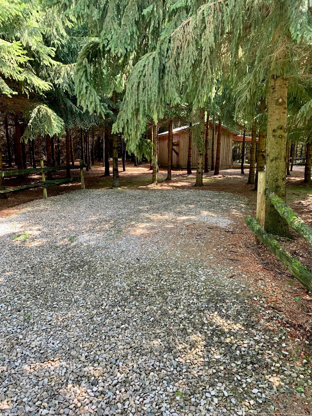 Longbranch Camping & Events | 43363 Hullett McKillop Rd, Walton, ON N0K 1Z0, Canada | Phone: (519) 440-9433