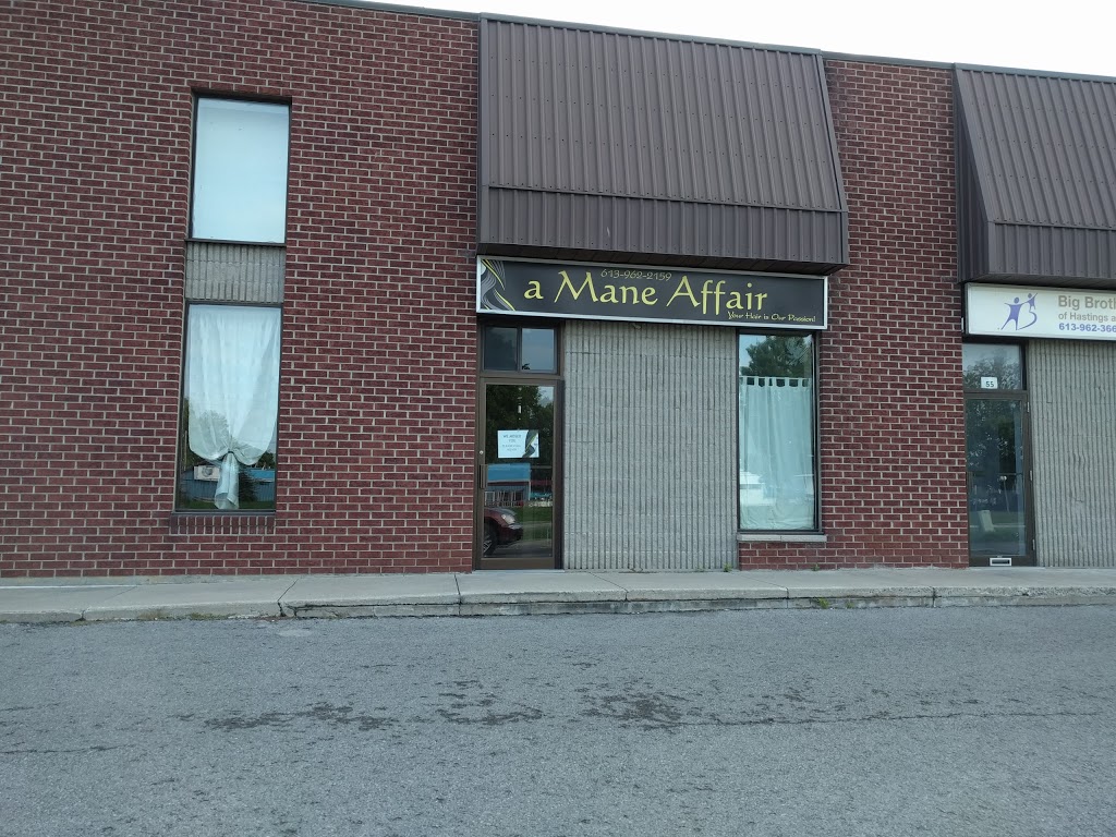 A Mane Affair | 59 Pinnacle St, Belleville, ON K8N 3A1, Canada | Phone: (613) 962-2159