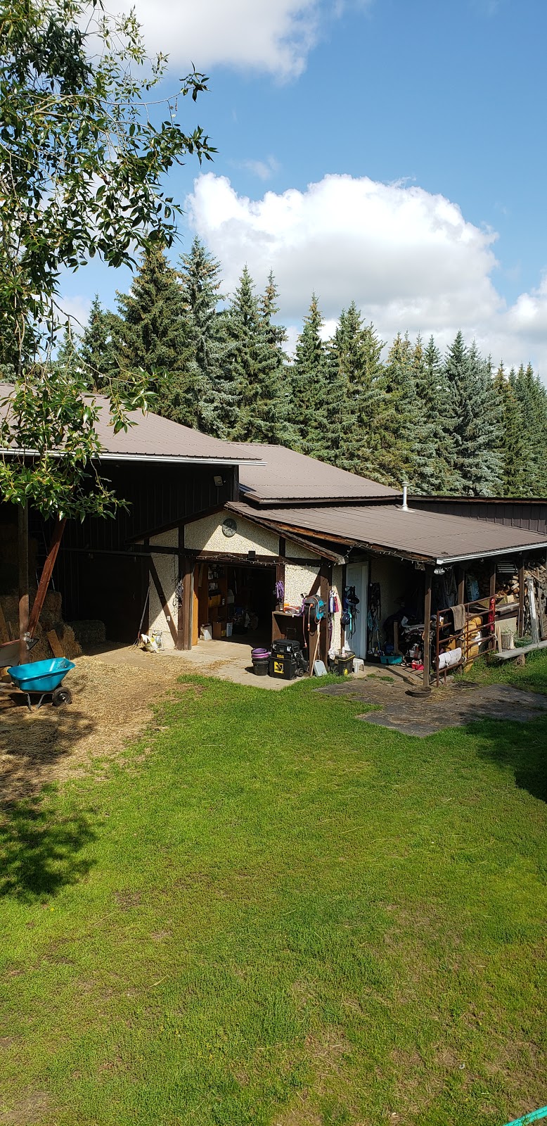Riverview Riding and Respite | 2-6 Upland Dr, Spruce Grove, AB T7Y 1B9, Canada | Phone: (780) 719-9982