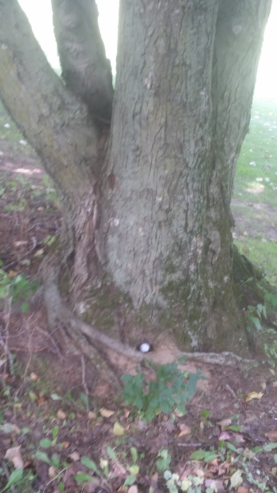 Pine Valley Golf Club | Norfolk County, ON N0E 1P0, Canada | Phone: (519) 426-0683