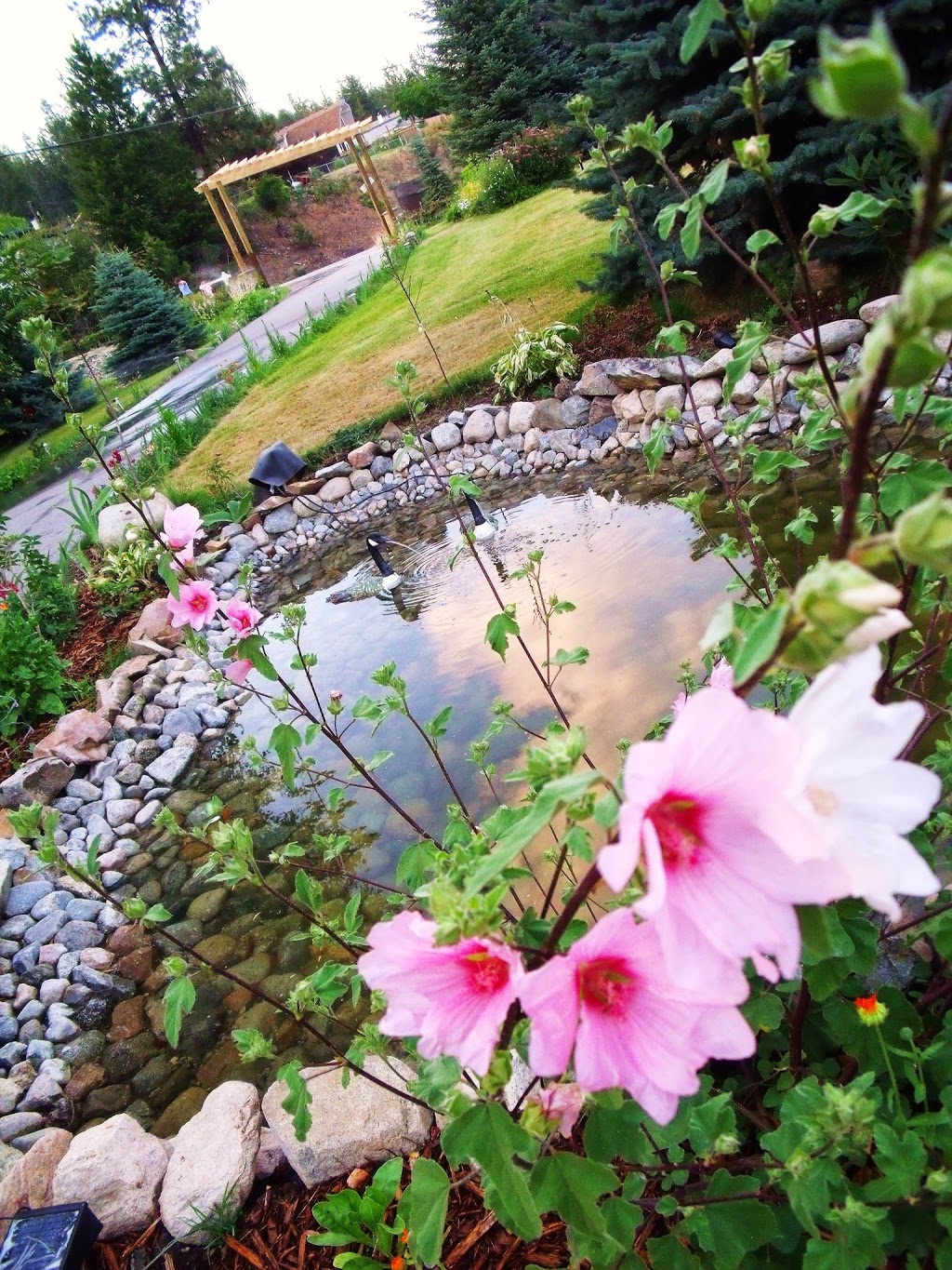 Peachland Bed and Breakfast | 5155 Princeton Ave, Peachland, BC V0H 1X8, Canada | Phone: (604) 202-3771