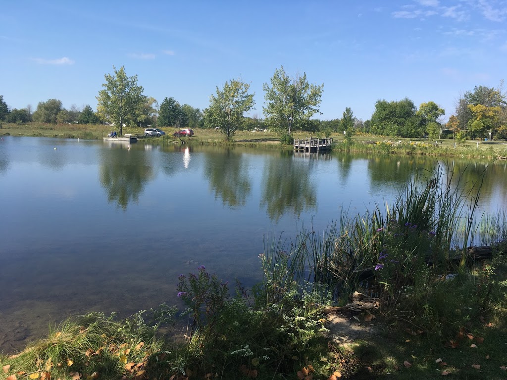 Fishing Dock | Hamilton, ON L3M, Canada | Phone: (416) 671-1975