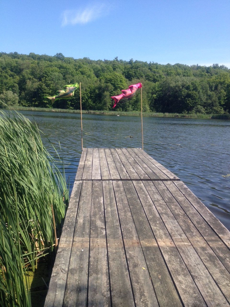 Black River Bed and Breakfast | 68 Morrison Point Rd, Milford, ON K0K 2P0, Canada | Phone: (613) 476-7346