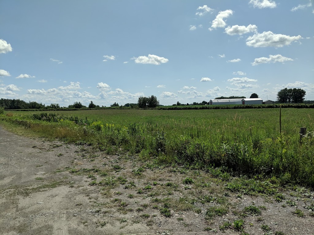 Framboisière Luneau | 1462 10e Rang O, Princeville, QC G6L 4C5, Canada | Phone: (819) 364-7779