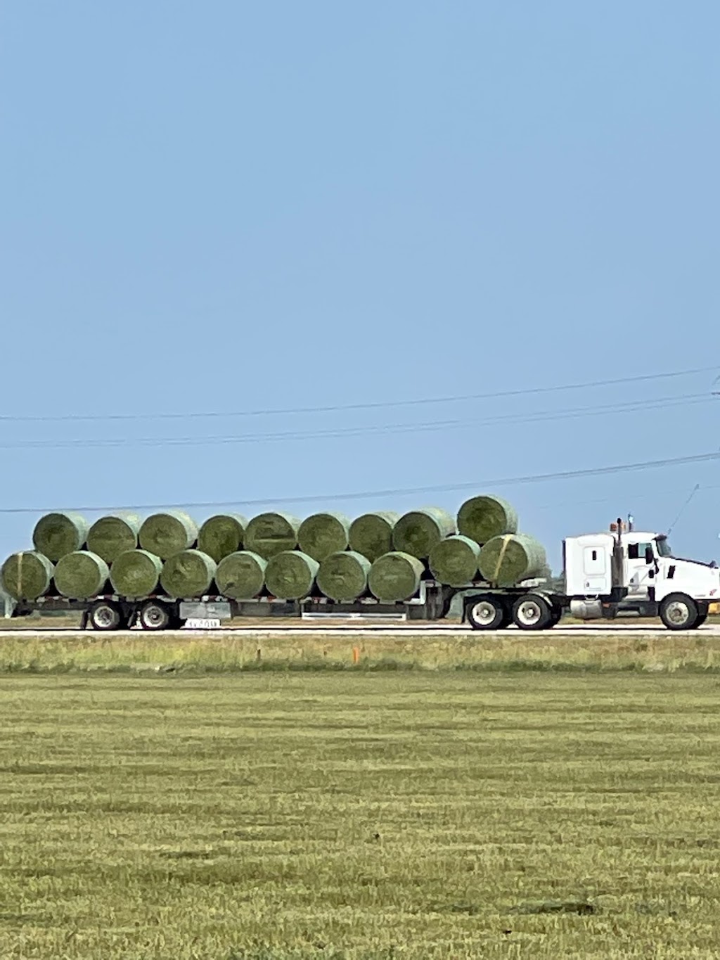 Laingspring Farm Ltd. | 35074 Road 38 N, Blumenort, MB R0A 0C1, Canada | Phone: (204) 346-3286