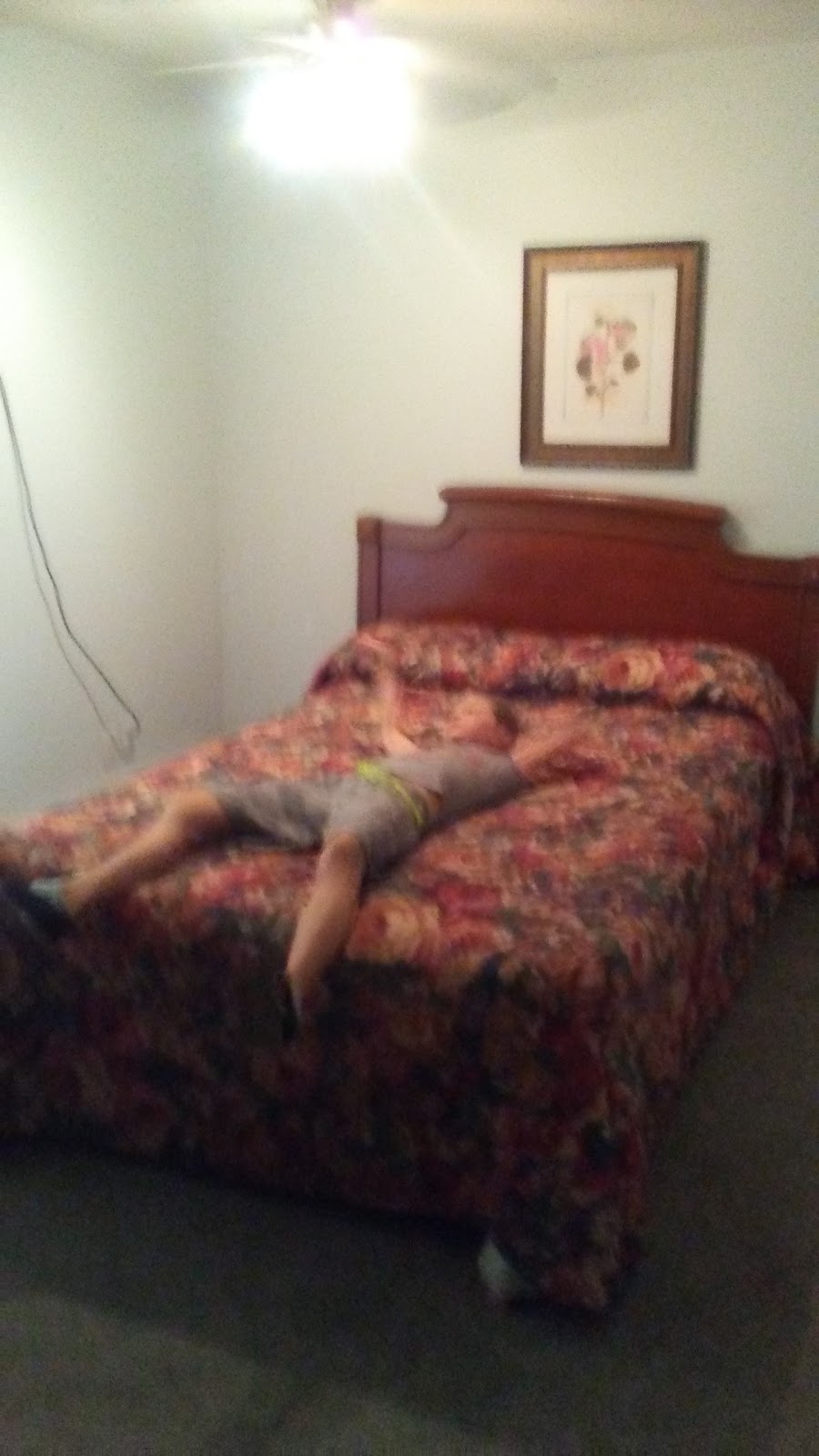 Cedar Springs Motel | 12363 ON-7, Georgetown, ON L7G 4S4, Canada | Phone: (905) 877-8866