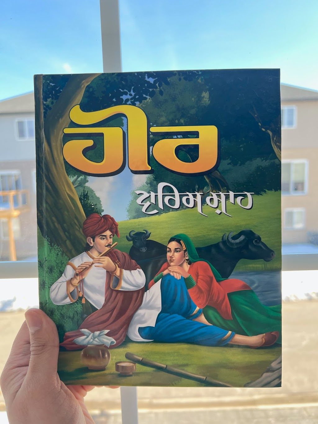 Virsa the heritage bookstore | 2619 Sheffield Blvd #31, London, ON N6M 0G4, Canada | Phone: (647) 529-0051