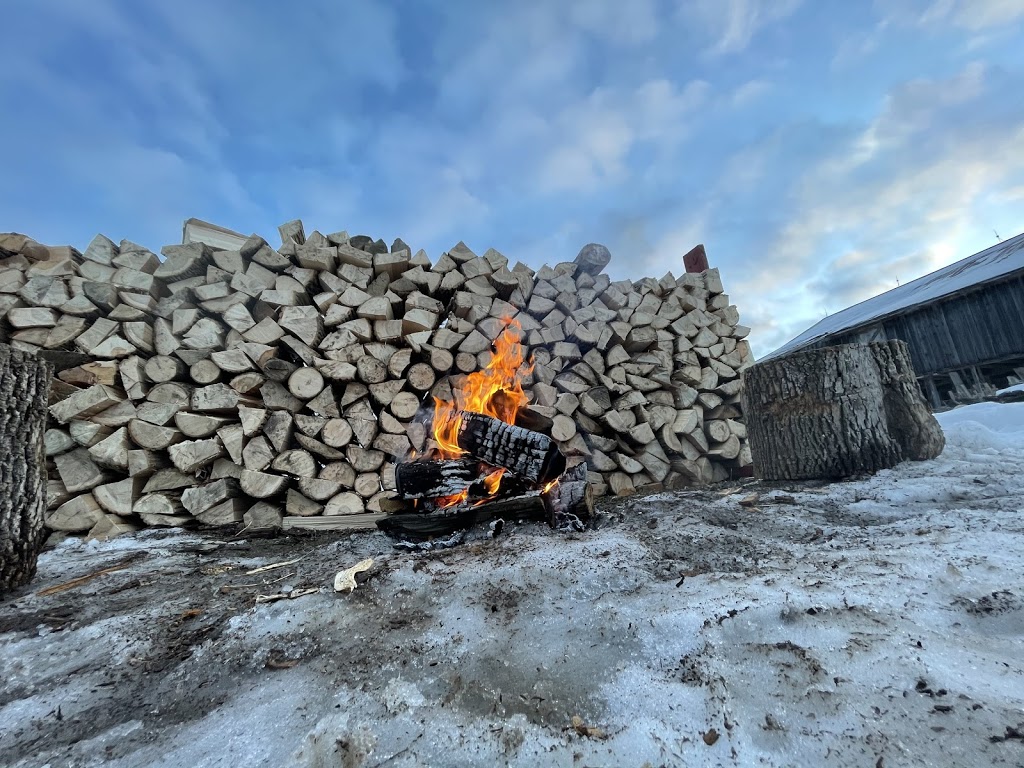 Papa Bowman Firewood | 828254 Mulmur Nottawasaga Townline, Mulmur, ON L9V 0Y7, Canada | Phone: (705) 466-5004