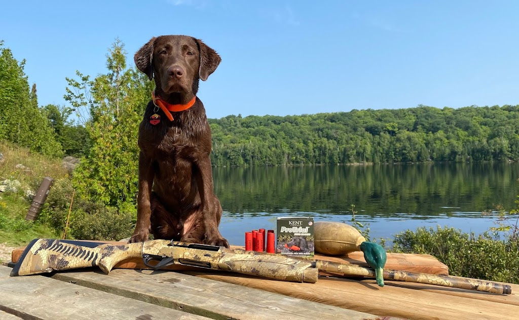 Lucky Labs | 27957 Baldoon Rd, Wallaceburg, ON N8A 4L3, Canada | Phone: (519) 627-0443