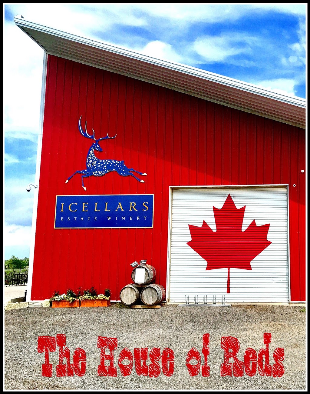 Icellars Estate Winery | 615 Concession 5 Rd, Niagara-on-the-Lake, ON L0S 1J0, Canada | Phone: (289) 479-5969