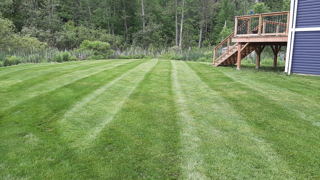 The Lawn Ladd | 1607 Rimkey Cres, Severn, ON L3V 0E9, Canada | Phone: (705) 818-9720