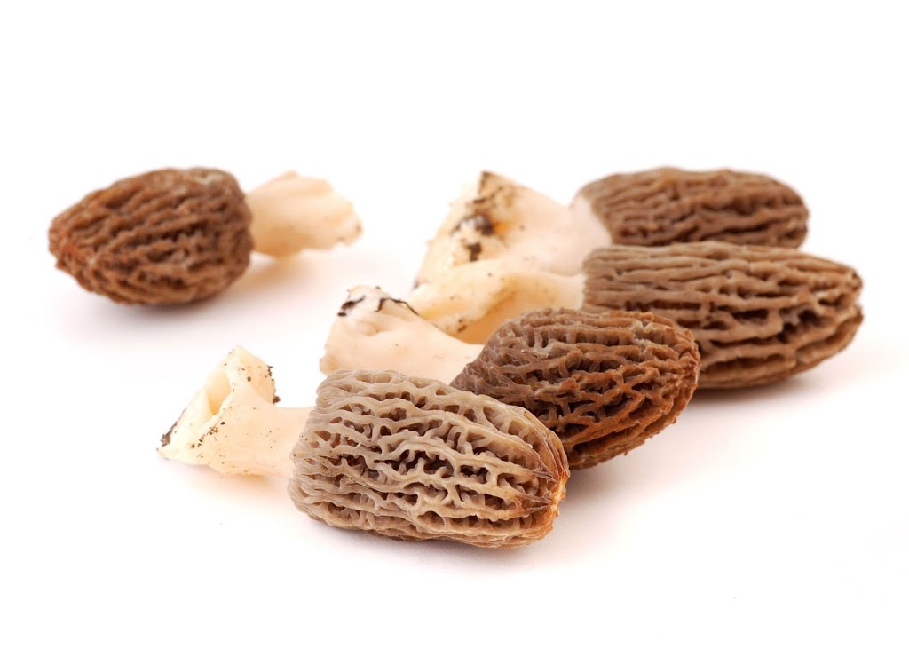 Pacific Rim Mushrooms | 12791 Blundell Rd, Richmond, BC V6Y 1B4, Canada | Phone: (778) 847-1666