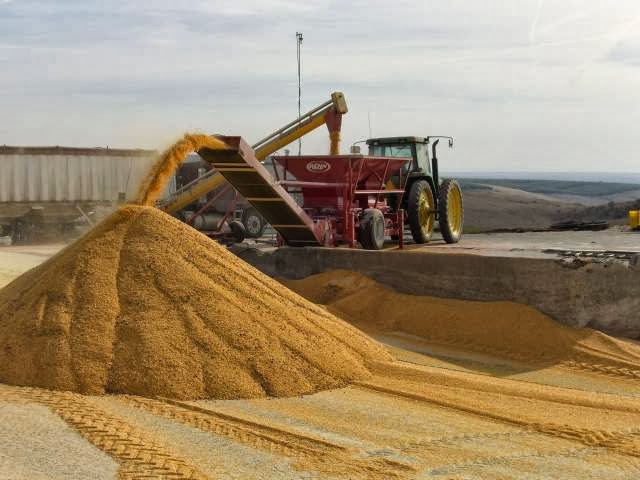 Renn Mill Center Inc. | Lacombe County, AB T4L 2N4, Canada | Phone: (403) 784-3518