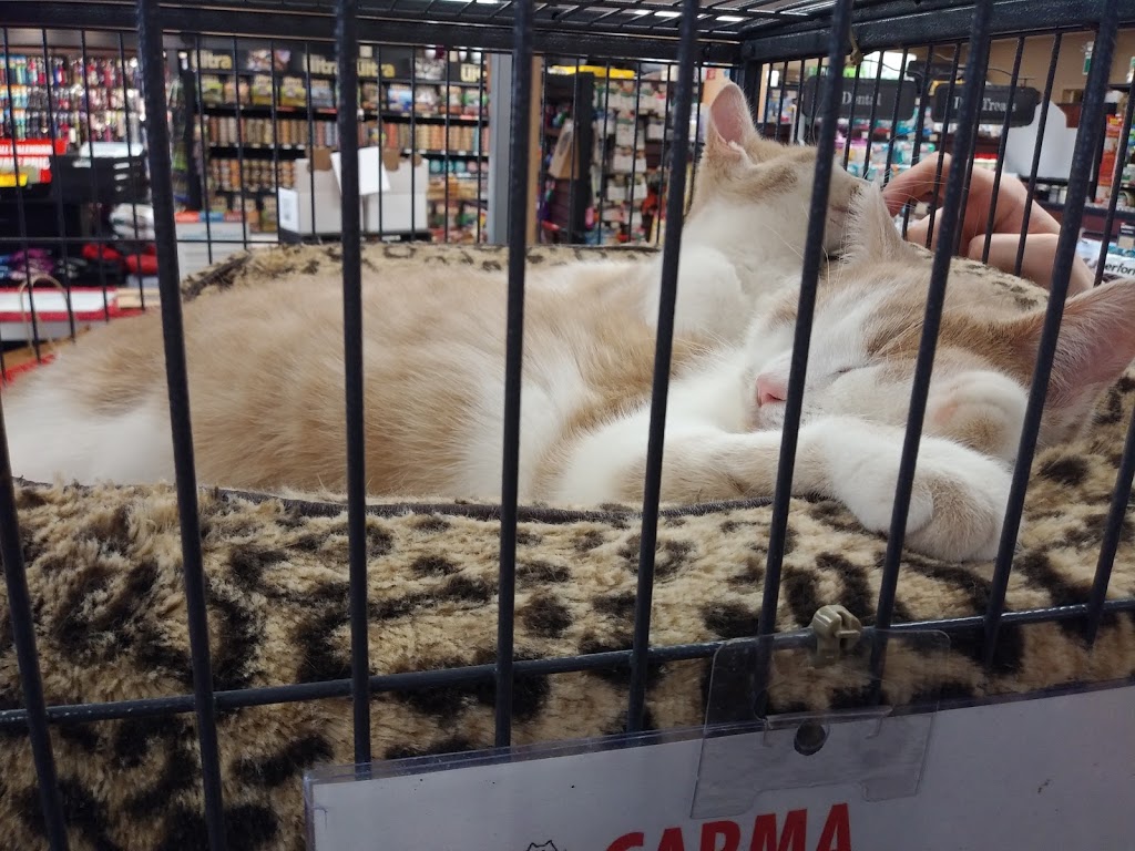 Pet Valu | 4 Robert Angus Dr, Amherst, NS B4H 4R7, Canada | Phone: (902) 667-1666