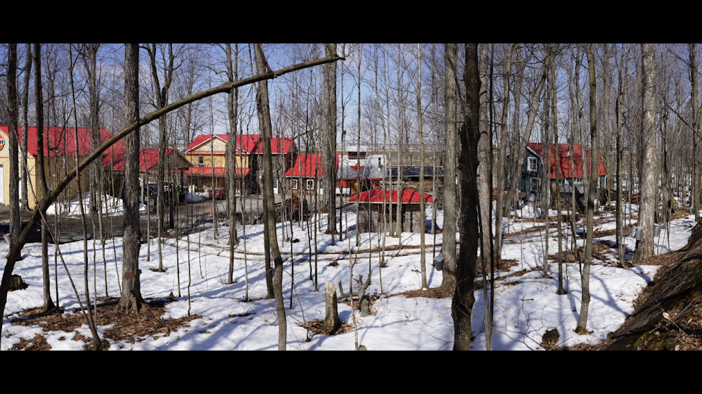 Cabane à Sucre L’ancestrale | 589 Petit rang Saint-François, Saint-Pie, QC J0H 1W0, Canada | Phone: (450) 777-6747