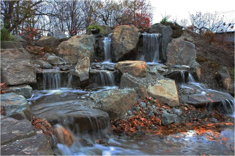 AquaPlantes | 1136 QC-138, Neuville, QC G0A 2R0, Canada | Phone: (418) 876-4923
