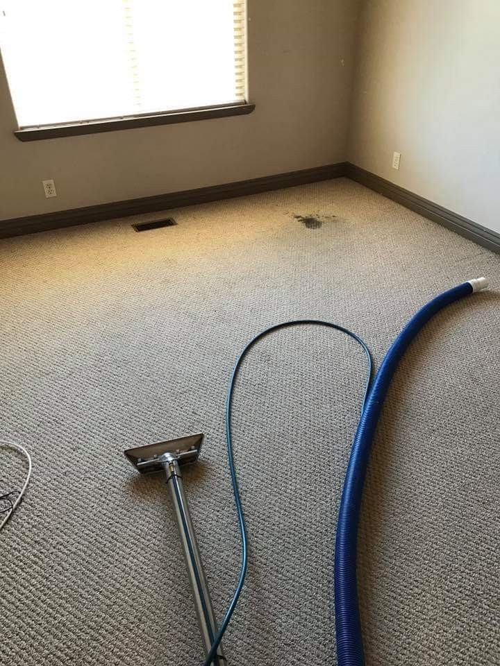 Steam Carpet Care | The Ave NW, Edmonton, AB T6P 7Y8, Canada | Phone: (587) 409-0797