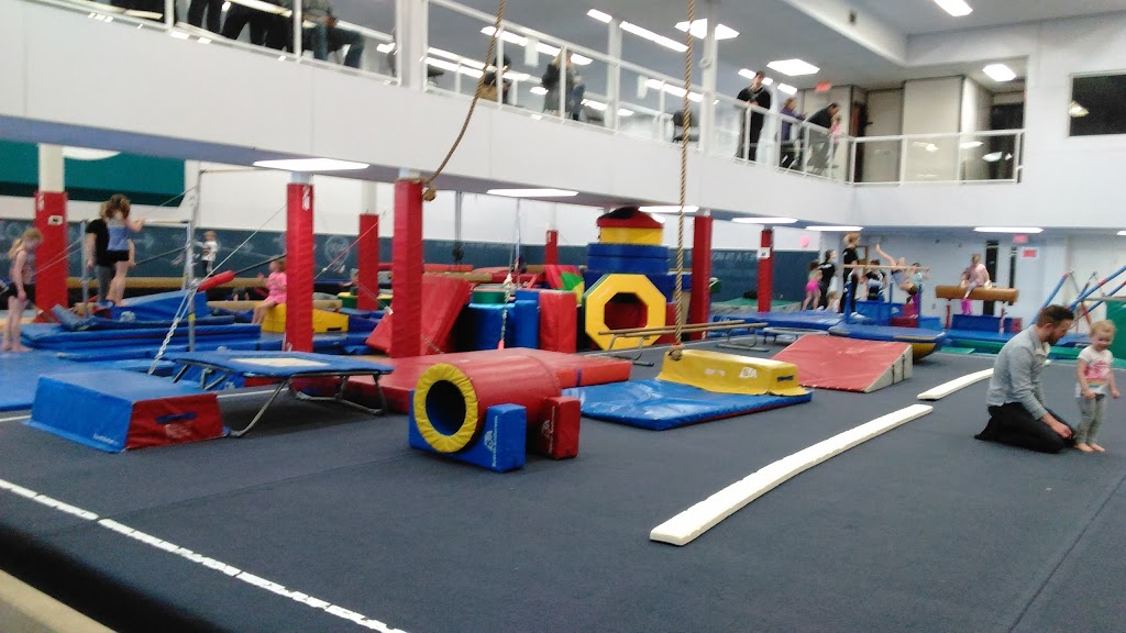 St Albert Gymnastics Club | 2A Riel Dr, St. Albert, AB T8N 3Z7, Canada | Phone: (780) 459-4256