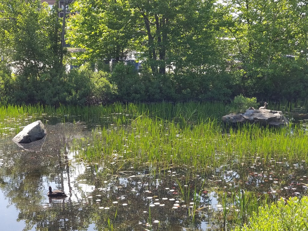 Belchers Marsh Park | Parkland Dr, Halifax, NS B3S 1X1, Canada