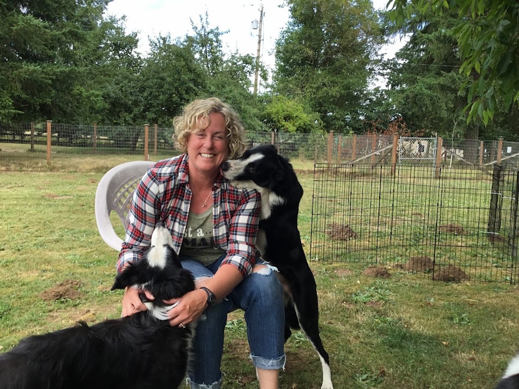 For the Love of Dog! Agility Training and Event Centre | 1638 PE-19, Prince Edward Island C0A 1H6, Canada | Phone: (902) 316-0219