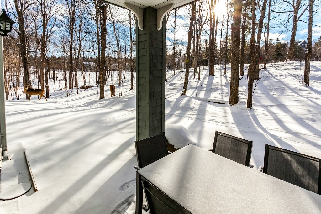 Le Manoir - Condos Mont-Tremblant | 110-7 Chemin des Quatres Sommets, Mont-Tremblant, QC J8E 1C6, Canada | Phone: (877) 287-0036