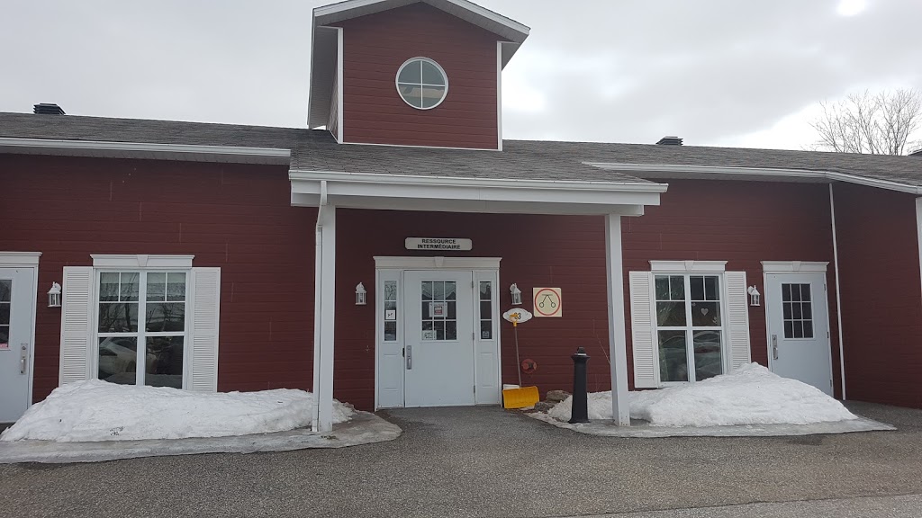 Residence Maison Dauphinelle | 33 Rue Lafrance E, Saint-Basile-le-Grand, QC J3N 1L5, Canada | Phone: (450) 441-7774