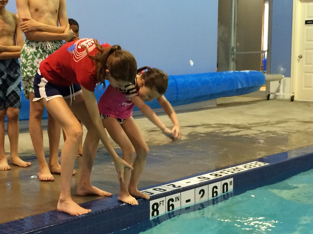 B & C Aquatics | 821 Brock Rd Unit 10, Pickering, ON L1W 3L6, Canada | Phone: (905) 420-4141