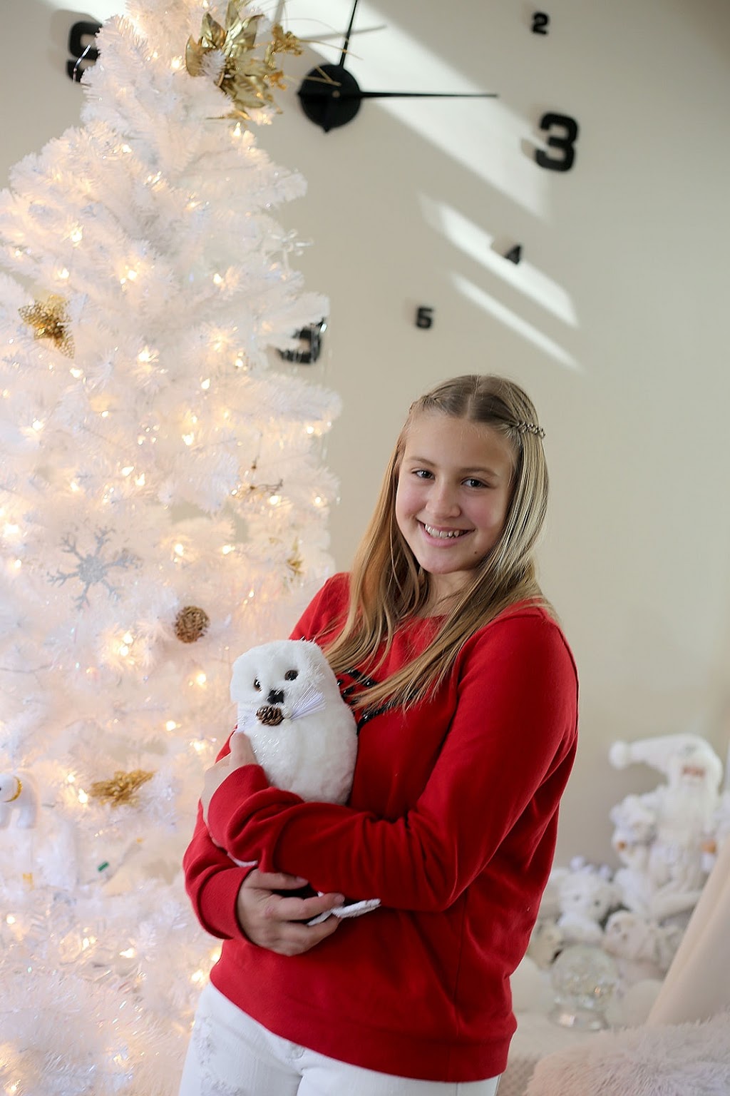 Book you photoshoot | 538 13th Line, Innisfil, ON L9S 3C8, Canada | Phone: (416) 471-3525