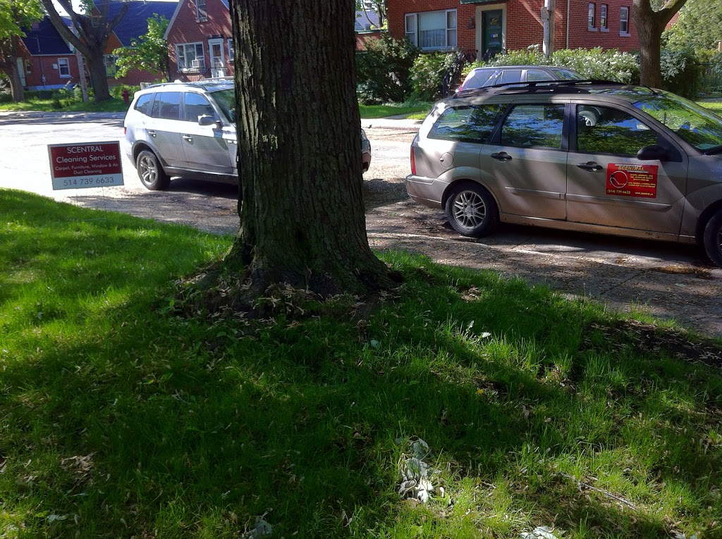 Nettoyage Scentral Cleaning Services | 5475 Rue Paré #108, Mont-Royal, QC H4P 1P7, Canada | Phone: (514) 739-6633
