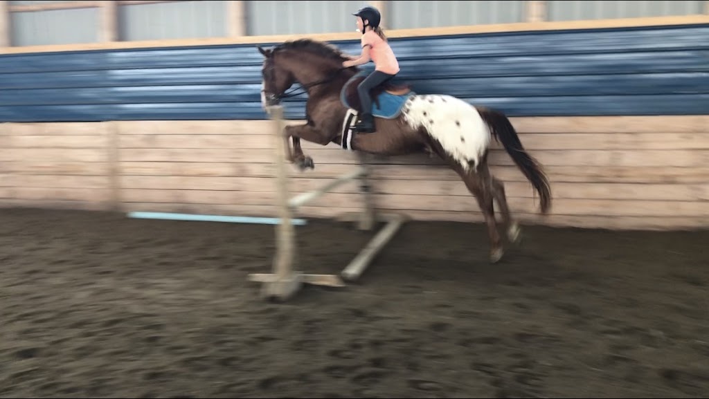 Lea Bank Equestrian Centre | Box 352, Rosenort, MB R0G 1W0, Canada | Phone: (204) 226-0746