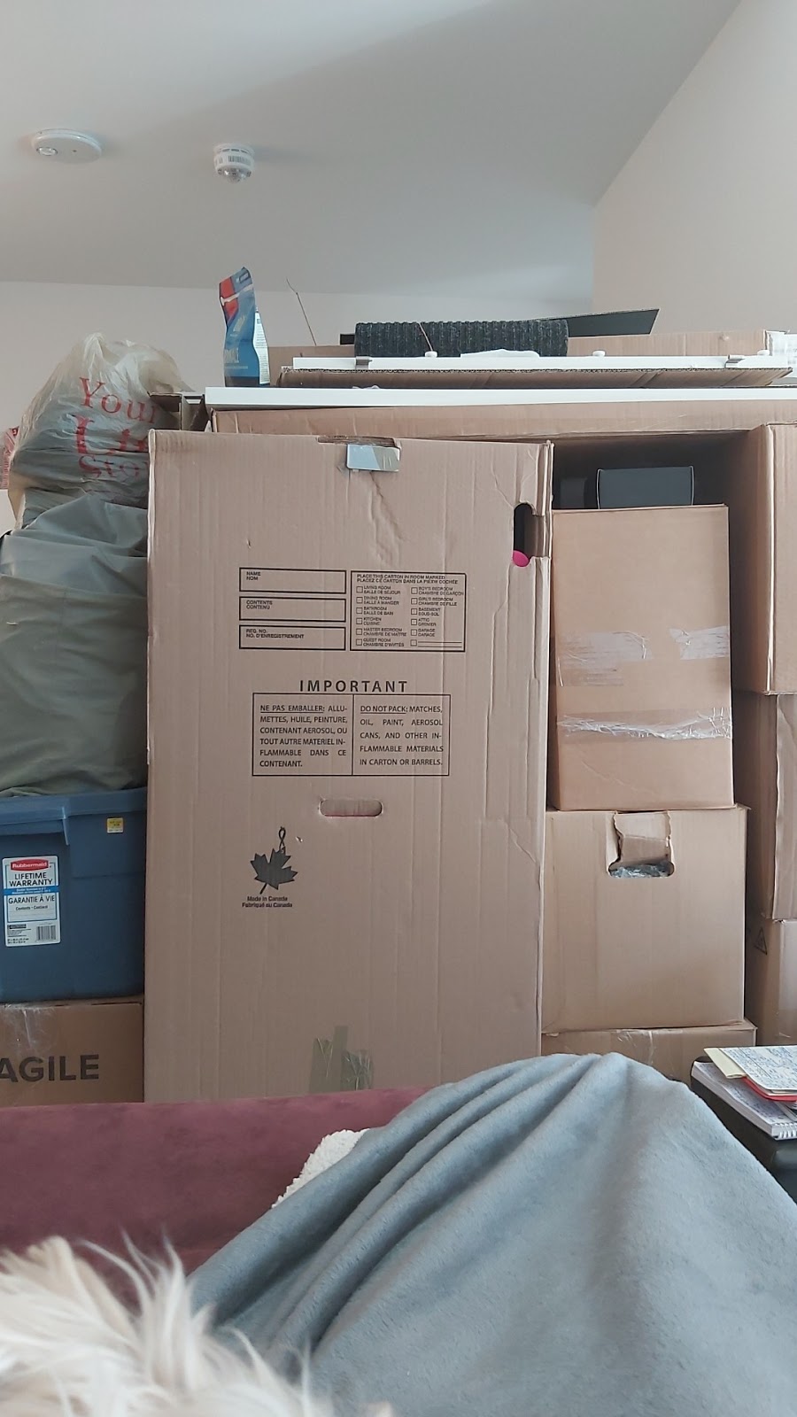 Francis Movers | 11 Zaph Ave, Scarborough, ON M1C 1M7, Canada | Phone: (416) 286-3422