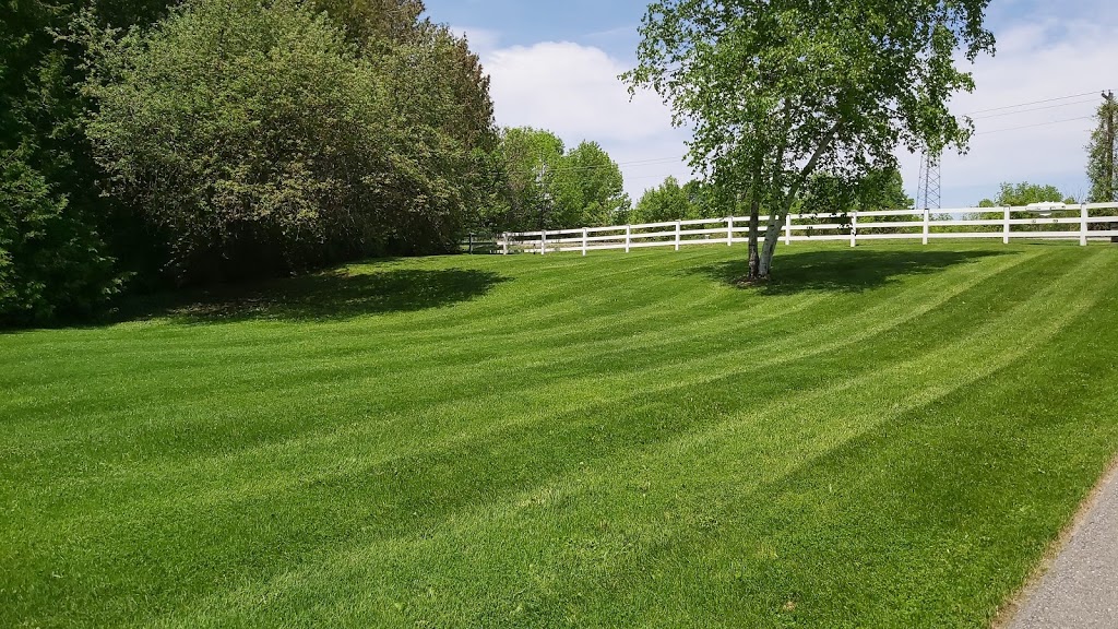 Dreamscapes Landscaping | 620 E Waseosa Lake Rd, Huntsville, ON P1H 2J4, Canada | Phone: (705) 795-4556