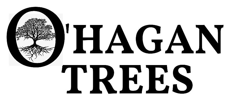 OHagan Trees | 176 Lilac Rd, Omemee, ON K0L 2W0, Canada | Phone: (705) 772-1055