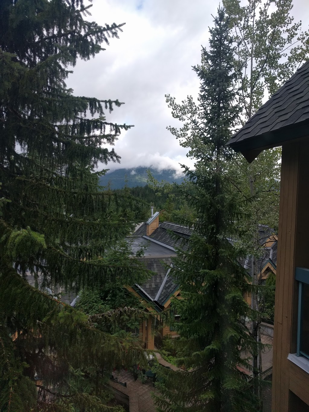 Snowbird | 4865 Painted Cliff Rd, Whistler, BC V0N 1B4, Canada | Phone: (800) 665-5858