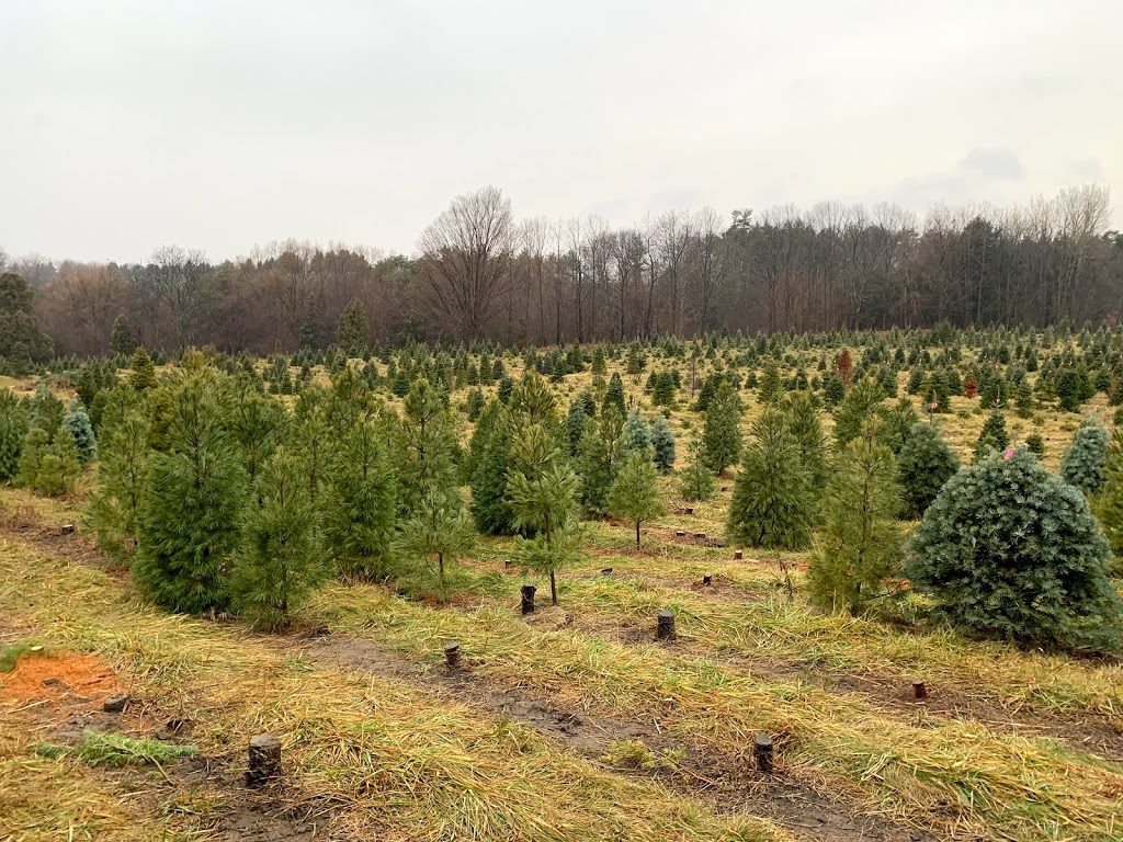 Prestonvale Tree Farms | 1421 Prestonvale Rd, Courtice, ON L1E 2P2, Canada | Phone: (800) 311-6964