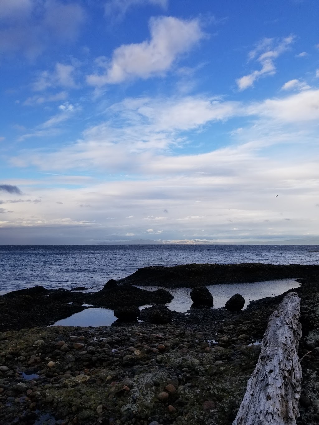 Hornby Island Resort | 4305 Shingle Spit Rd, Hornby Island, BC V0R 1Z0, Canada | Phone: (250) 335-0136