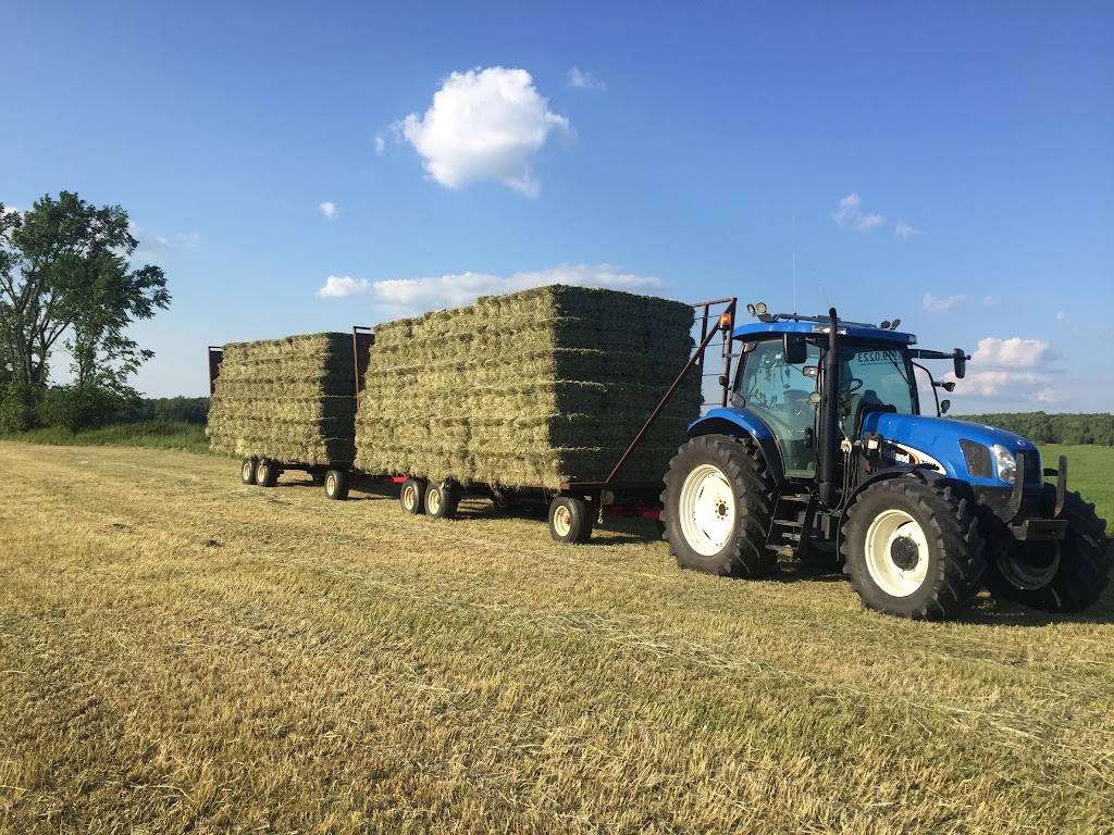 Ferme Gagné et Frères SENC | 132 Chem. du 5 Rang, Saint-Malo, QC J0B 2Y0, Canada | Phone: (819) 570-7425
