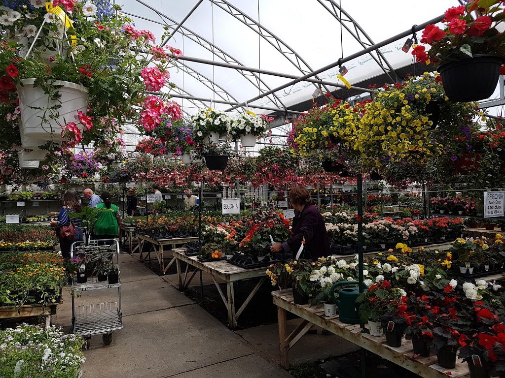 Jardin Cleroux inc | 13230 Boul Gouin O, Pierrefonds, QC H8Z 1X3, Canada | Phone: (514) 626-6040