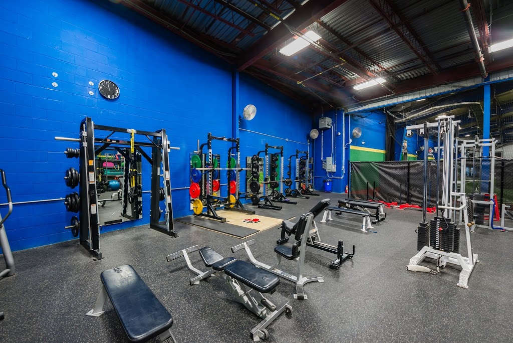 Centrefield Sports Inc | 25 Midpark Crescent, London, ON N6N 1A9, Canada | Phone: (519) 691-1200