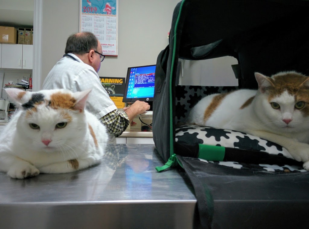 Niagara Veterinary Services | 7652 Regional Rd 57, Niagara Falls, ON L2H 1A2, Canada | Phone: (905) 353-9069