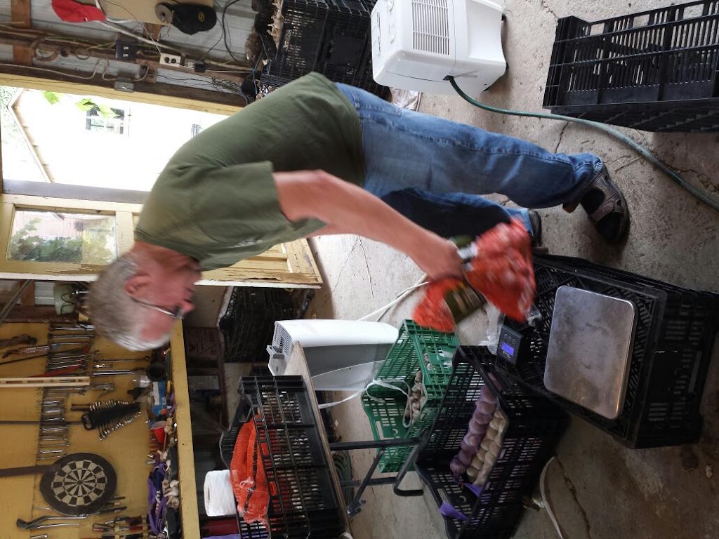 Arranhill Garlic Farm | Concession Rd 12 E, Allenford, ON N0H 1A0, Canada | Phone: (519) 270-0022