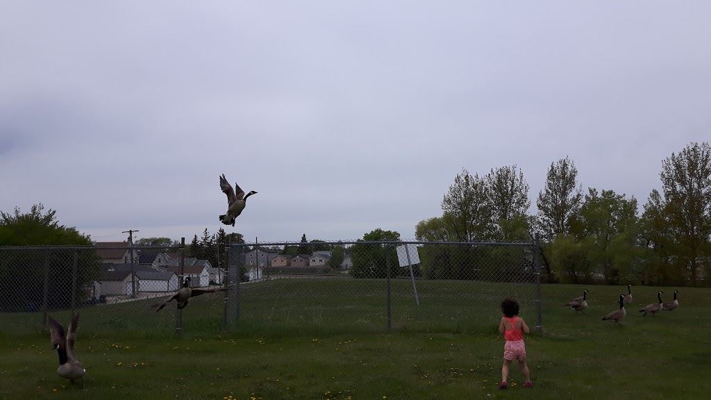 McPhillips Athletic Grounds | Winnipeg, MB R3E 2L1, Canada
